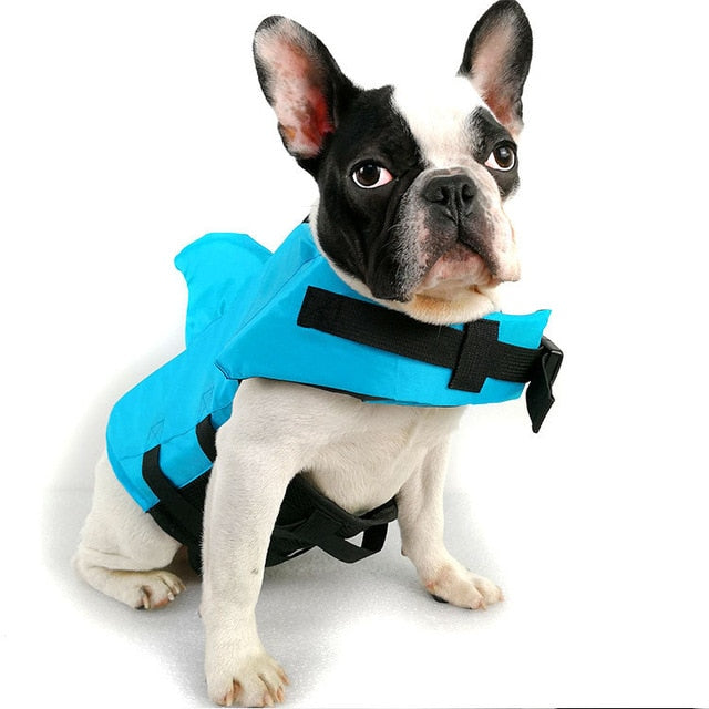 Shark Dog Safety Life Jacket - Great Stuff OnlineGreat Stuff Online Blue / L 22-28KG