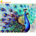 Frameless Peacock Animals DIY Painting By Numbers Kits Acrylic Paint By Numbers Home Wall Art - Great Stuff OnlineGreat Stuff Online